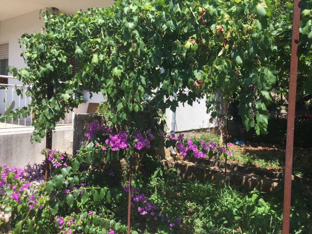 Relax Garden *